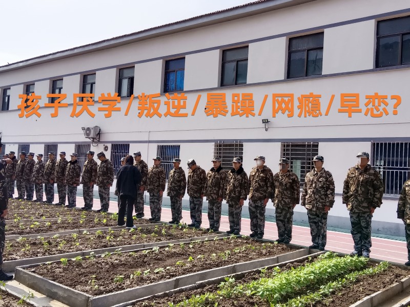 初中生夏令營哪個機構好