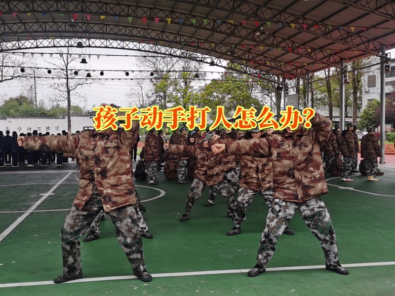 全封閉叛逆管教學(xué)校對孩子打架斗毆問題的看法