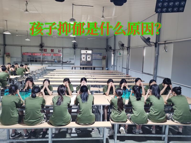 抑郁癥治療學(xué)校,抑郁