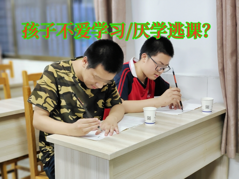 軍事夏令營(yíng),暑期夏令營(yíng)