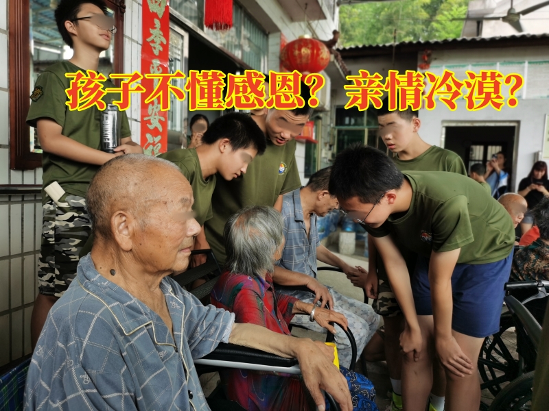 感恩教育學(xué)校,青少年教育學(xué)校