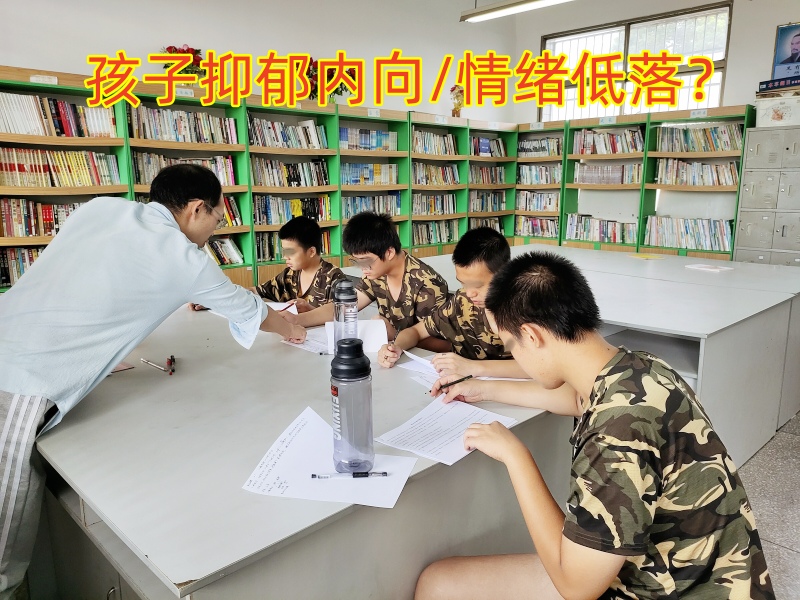 心理輔導(dǎo)學(xué)校,心理健康教育