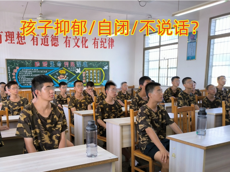 心理輔導(dǎo)學(xué)校,心理咨詢機(jī)構(gòu)