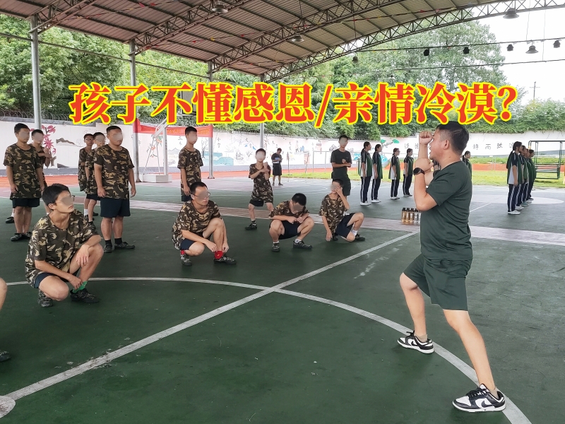 素質(zhì)教育學(xué)校,青少年教育學(xué)校