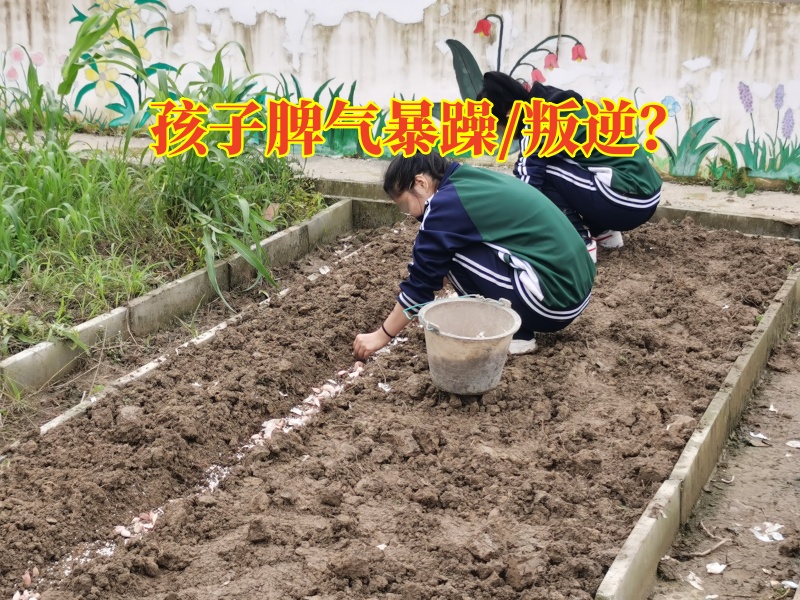 衡陽少年管教學(xué)校建議這樣改善孩子脾氣暴躁