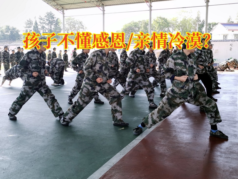 感恩教育叛逆學(xué)校：孩子不懂感恩還將父母當(dāng)仇人？感恩教育叛逆學(xué)校