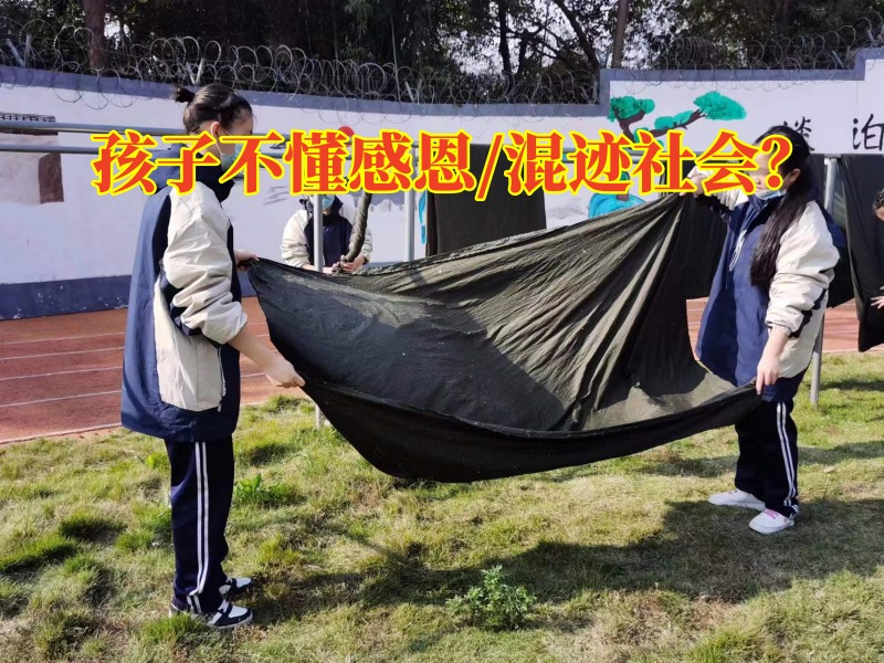 正規(guī)勵志教育學(xué)校：孩子長大后為何不懂得感恩？