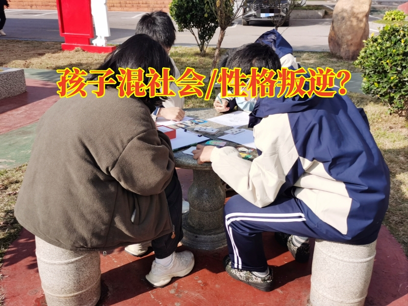 針對青少年叛逆學(xué)校對孩子混跡社會的建議