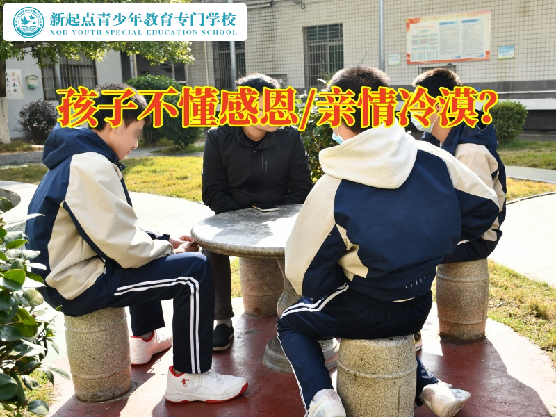 教育叛逆孩子專門學(xué)校教育孩子學(xué)會感恩，教育叛逆專門學(xué)校