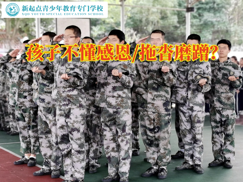 青少年叛逆改變學校分析孩子不懂感恩的原因，青少年叛逆改變學校