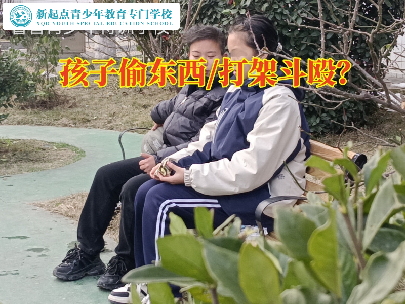小全封閉特訓(xùn)學(xué)校專治孩子老偷東西問(wèn)題偷小摸7.jpg