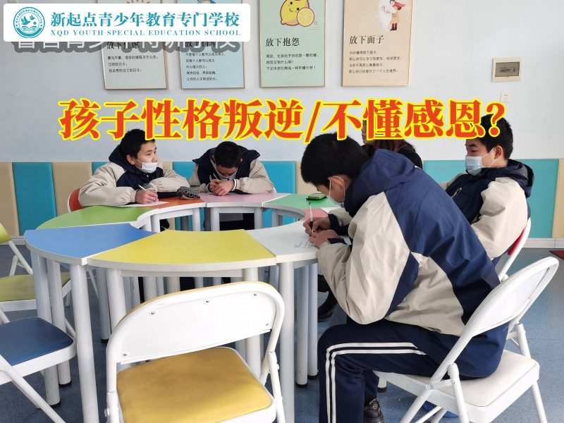 性格叛逆，正規(guī)特訓(xùn)學(xué)校這樣解決孩子叛逆嚴重不聽話問題