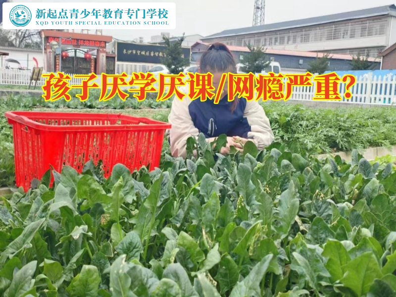 厭學(xué)厭課，厭學(xué)孩子學(xué)校解答孩子不讀書可以去什么學(xué)校問題