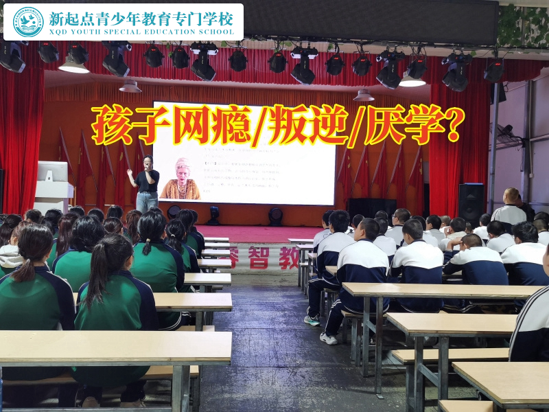 婁底的叛逆孩子學(xué)校剖析孩子沉迷網(wǎng)絡(luò)的影響