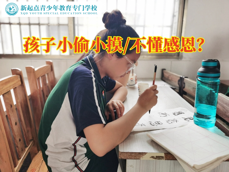 青少年叛逆正規(guī)全封閉機構(gòu)對孩子偷東西的建議