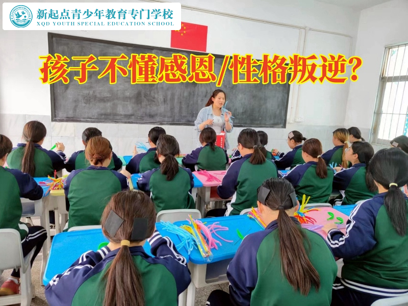 正規(guī)的全封閉學(xué)校分析孩子不懂感恩的危害