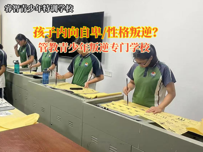 管教青少年叛逆專(zhuān)門(mén)學(xué)校引導(dǎo)孤僻孩子變得開(kāi)朗