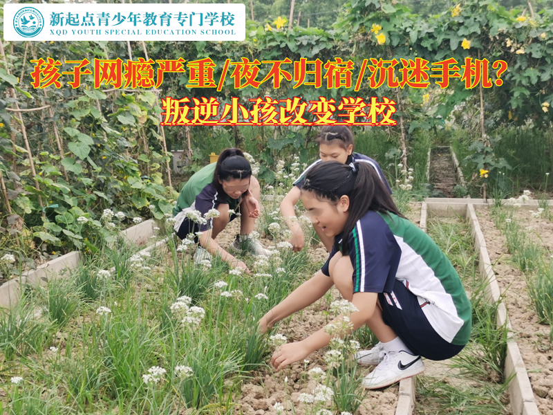 叛逆小孩改變學(xué)校矯正有網(wǎng)癮的孩子