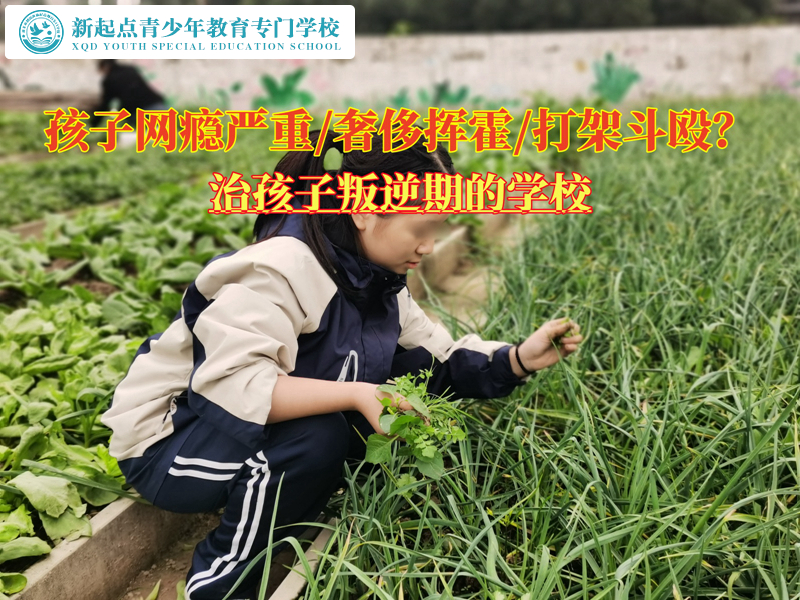 治孩子叛逆期的學校矯正網(wǎng)癮青少年