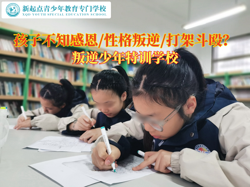 叛逆少年特訓(xùn)學(xué)校教導(dǎo)不懂得感恩的孩子