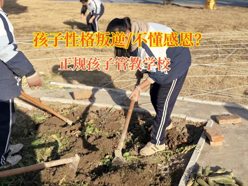 正規(guī)孩子管教學校改造不懂得感恩的青少年