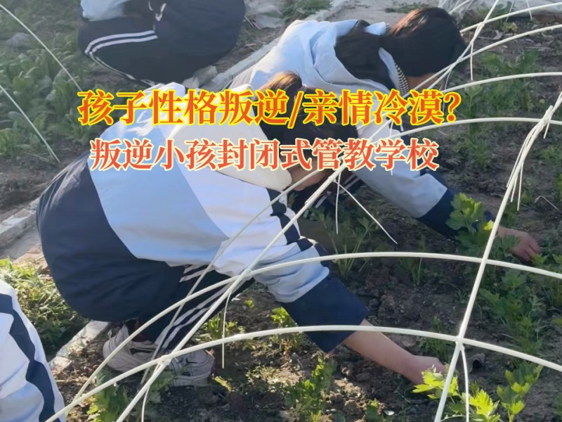 全封閉式管教學(xué)校改變混社會的青少年
