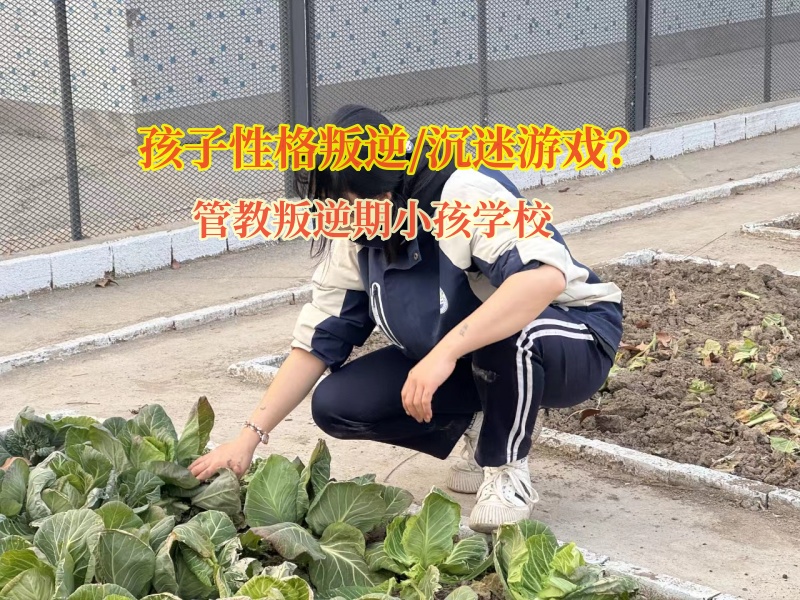 管教叛逆期小孩學(xué)校幫助孩子走出手機虛擬世界