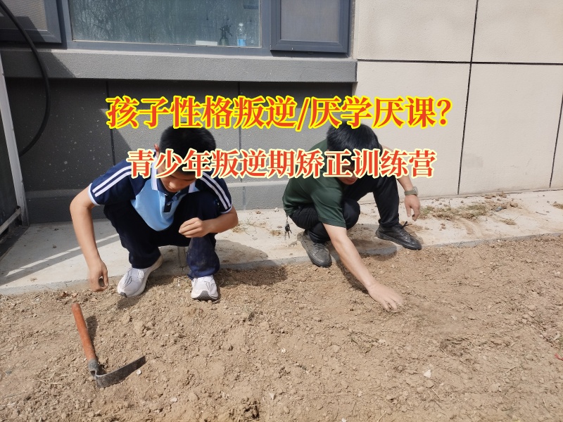 青少年叛逆期矯正訓練營矯正高中生不上學現(xiàn)象
