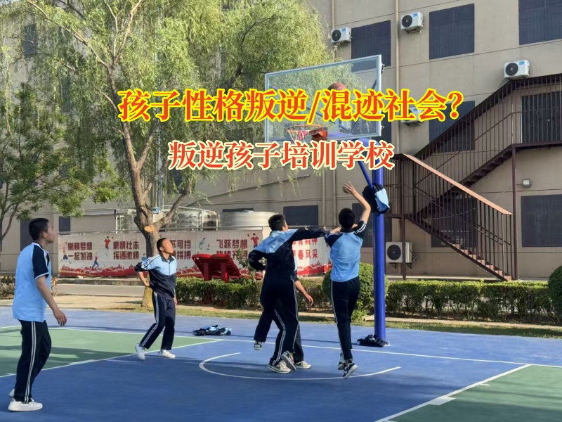 叛逆孩子培訓(xùn)學(xué)校助力宅家少年重歸精彩