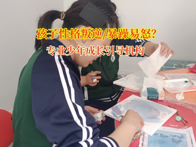 專業(yè)少年成長引導機構(gòu)助力易怒少年走出情緒迷霧