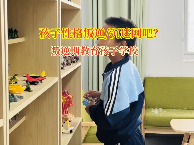 叛逆期教育孩子學(xué)校破解孩子網(wǎng)吧沉迷難題