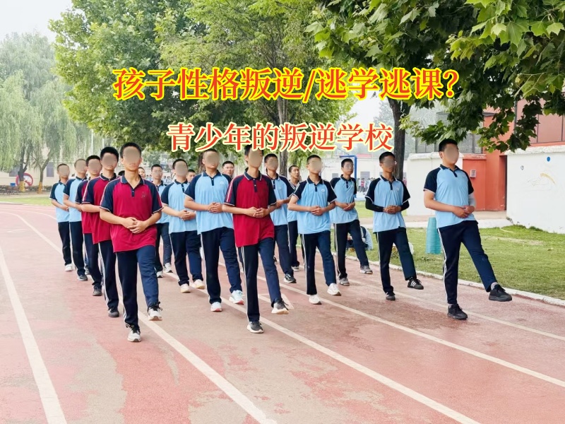 青少年的叛逆學校巧用方法激發(fā)孩子學習興趣