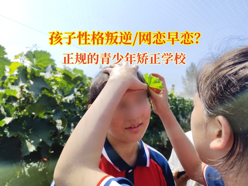 正規(guī)的青少年矯正學(xué)校幫青少年掙脫網(wǎng)戀“枷鎖”