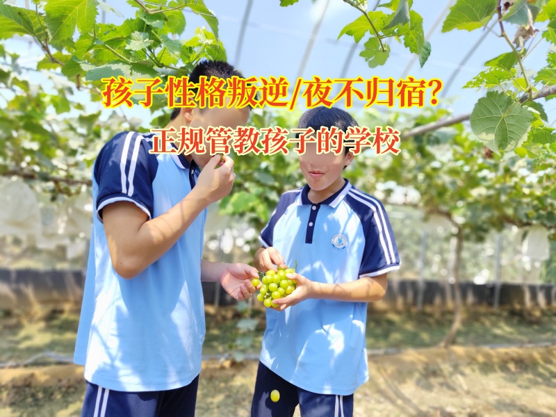 正規管教孩子的學校助夜不歸宿孩子歸正途