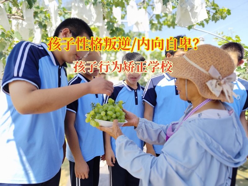 孩子行為矯正學(xué)校破溝通堅(jiān)冰，育自信少年