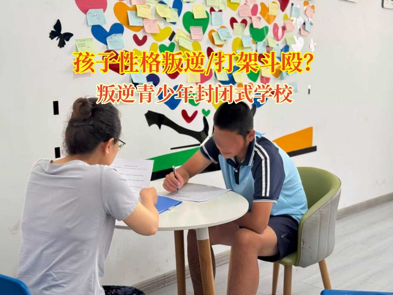 叛逆青少年封閉式學(xué)校為打架少年開啟理智之門