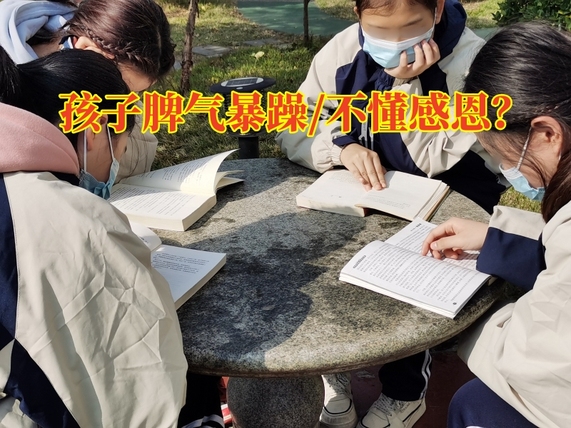 株洲市少年管教學校對孩子脾氣暴躁的三點建議，株洲市青少年管教學校